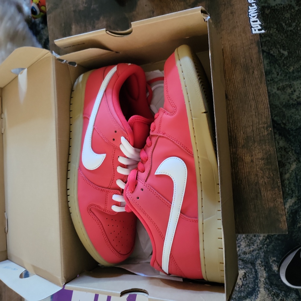 Nike Dunk Sb Orange label"University Red"